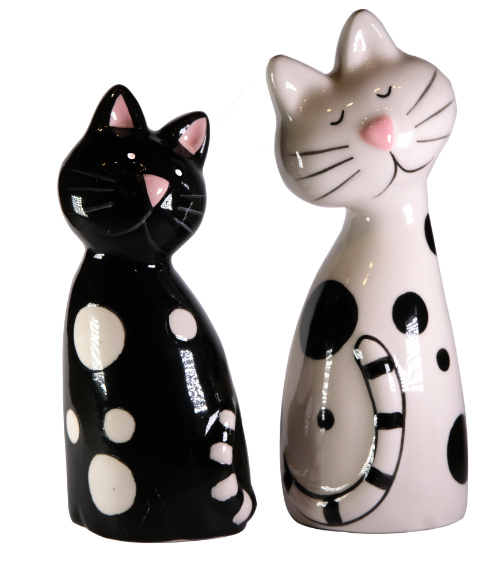 salt and pepper set